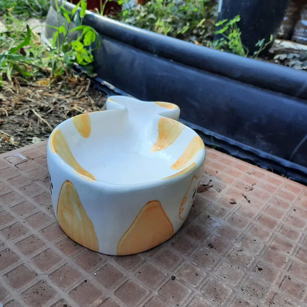 Ceramic pet dish